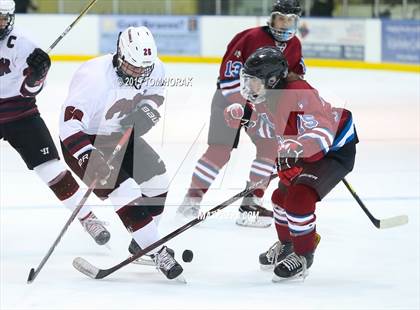 Thumbnail 3 in Newton/Lenape Valley vs Park Regional photogallery.