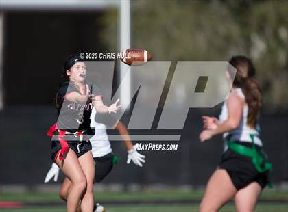 Thumbnail 2 in Tampa Catholic @ Carrollwood Day photogallery.
