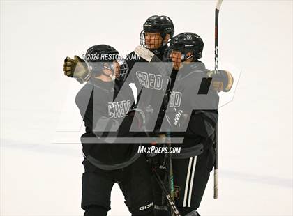 Thumbnail 3 in Mater Dei vs. Servite photogallery.