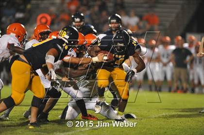 Thumbnail 2 in Zephyrhills @ LandO&#39;Lakes photogallery.