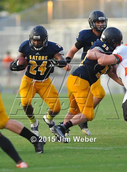 Thumbnail 3 in Zephyrhills @ LandO&#39;Lakes photogallery.