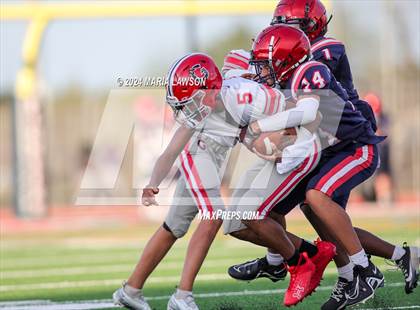 Thumbnail 1 in Gainesville @ Patriot photogallery.