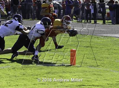Thumbnail 3 in Kenmore East @ Williamsville East photogallery.