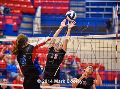 Thumbnail 2 in Lorena @ Midway photogallery.