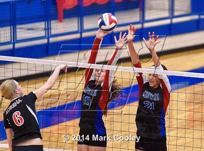 Thumbnail 3 in Lorena @ Midway photogallery.