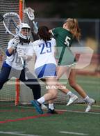 Photo from the gallery "Head-Royce @ Acalanes (CIF NCS D2 first round)"