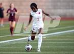 Photo from the gallery "Westview @ Franklin"