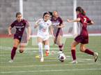 Photo from the gallery "Westview @ Franklin"
