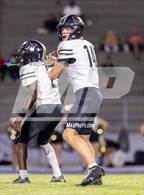 Photo from the gallery "Milton @ Navarre"