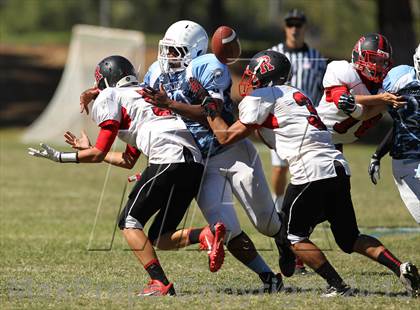 Thumbnail 3 in Rosamond @ Chadwick photogallery.