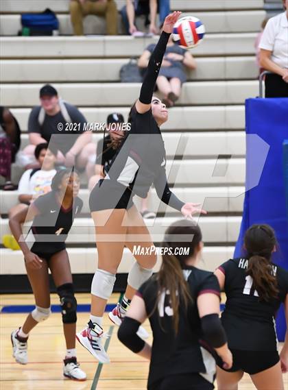 Thumbnail 3 in O'Connor vs. Hamilton photogallery.