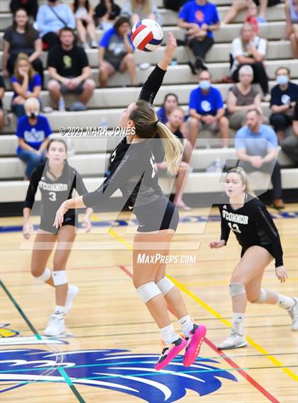 Thumbnail 1 in O'Connor vs. Hamilton photogallery.