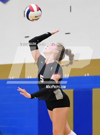 Thumbnail 3 in O'Connor vs. Hamilton photogallery.