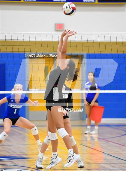 Thumbnail 3 in O'Connor vs. Hamilton photogallery.