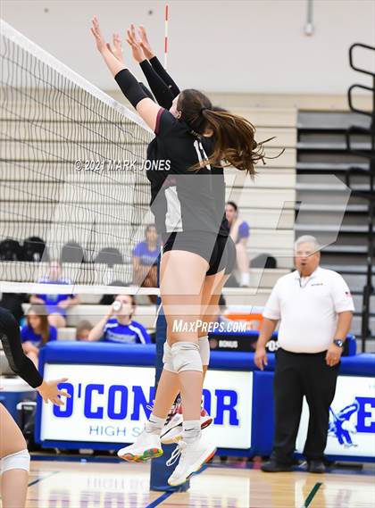 Thumbnail 2 in O'Connor vs. Hamilton photogallery.