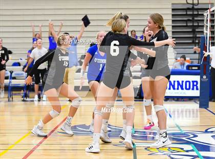 Thumbnail 2 in O'Connor vs. Hamilton photogallery.