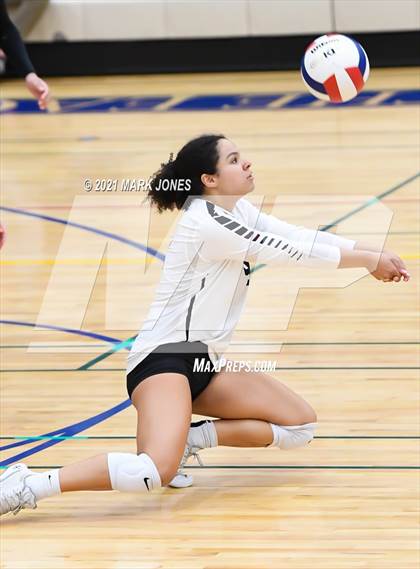 Thumbnail 1 in O'Connor vs. Hamilton photogallery.