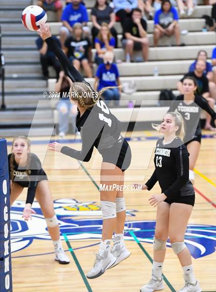 Thumbnail 2 in O'Connor vs. Hamilton photogallery.