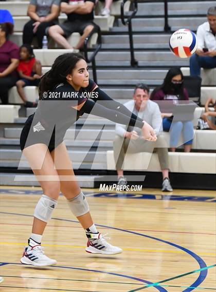 Thumbnail 2 in O'Connor vs. Hamilton photogallery.