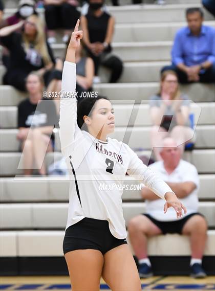 Thumbnail 2 in O'Connor vs. Hamilton photogallery.