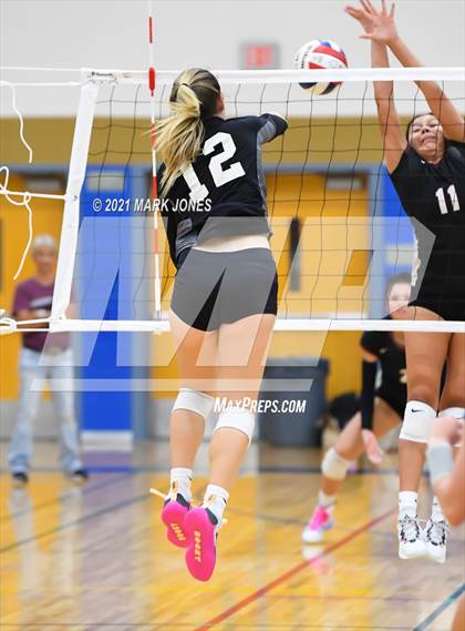 Thumbnail 2 in O'Connor vs. Hamilton photogallery.