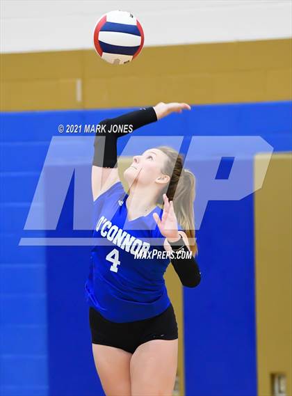 Thumbnail 1 in O'Connor vs. Hamilton photogallery.