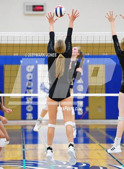 Thumbnail 1 in O'Connor vs. Hamilton photogallery.