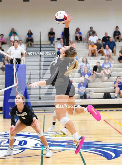 Thumbnail 2 in O'Connor vs. Hamilton photogallery.