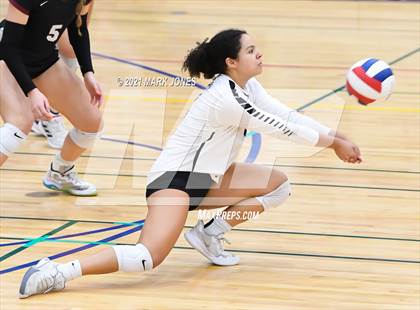 Thumbnail 3 in O'Connor vs. Hamilton photogallery.
