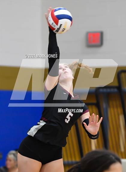 Thumbnail 2 in O'Connor vs. Hamilton photogallery.