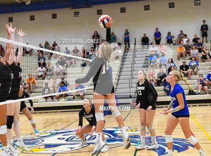 Thumbnail 1 in O'Connor vs. Hamilton photogallery.