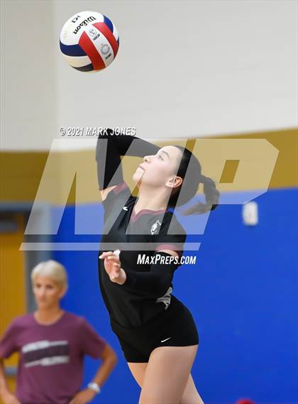 Thumbnail 3 in O'Connor vs. Hamilton photogallery.
