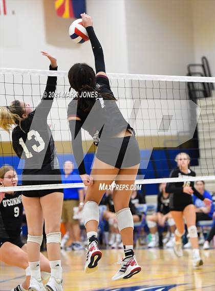 Thumbnail 1 in O'Connor vs. Hamilton photogallery.