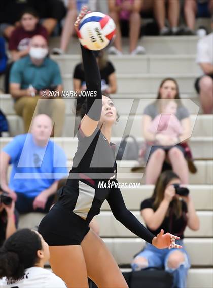 Thumbnail 2 in O'Connor vs. Hamilton photogallery.