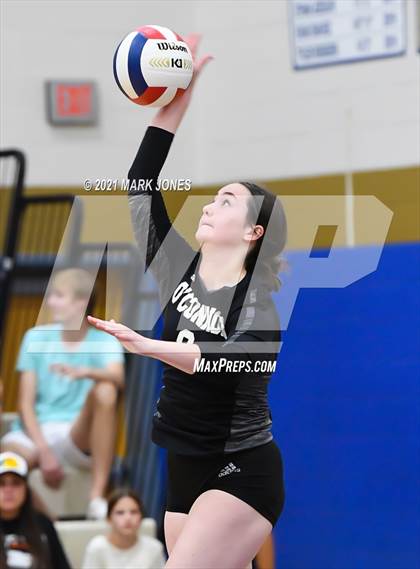 Thumbnail 2 in O'Connor vs. Hamilton photogallery.