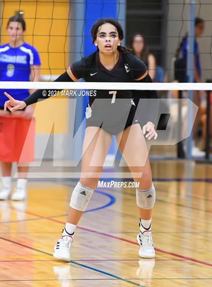 Thumbnail 2 in O'Connor vs. Hamilton photogallery.
