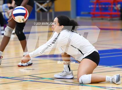 Thumbnail 1 in O'Connor vs. Hamilton photogallery.