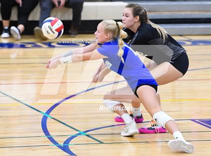 Thumbnail 2 in O'Connor vs. Hamilton photogallery.