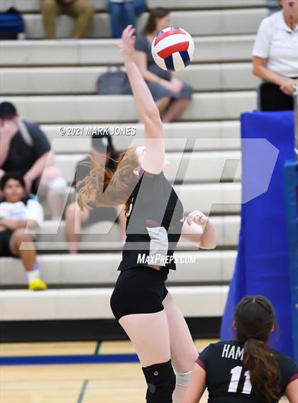 Thumbnail 2 in O'Connor vs. Hamilton photogallery.