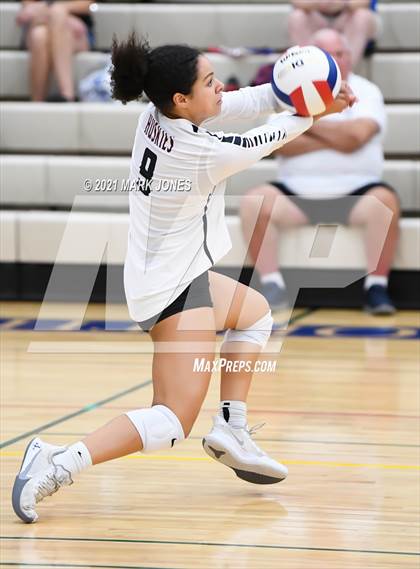 Thumbnail 3 in O'Connor vs. Hamilton photogallery.