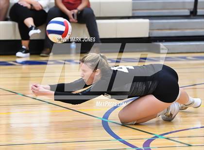 Thumbnail 3 in O'Connor vs. Hamilton photogallery.