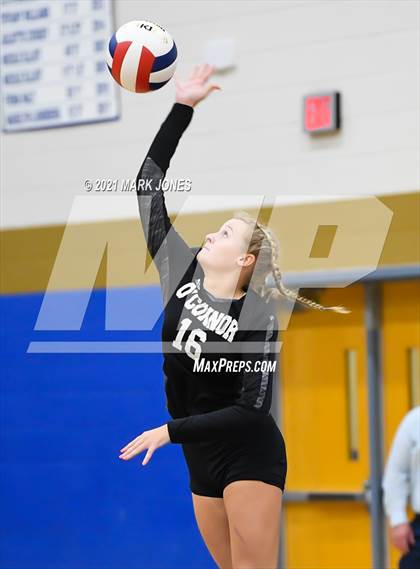 Thumbnail 2 in O'Connor vs. Hamilton photogallery.