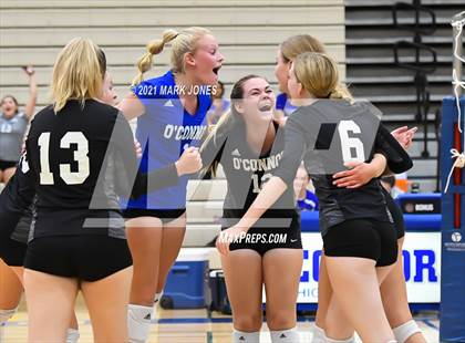 Thumbnail 2 in O'Connor vs. Hamilton photogallery.