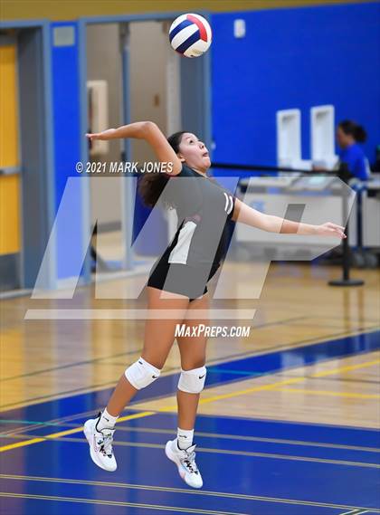 Thumbnail 1 in O'Connor vs. Hamilton photogallery.