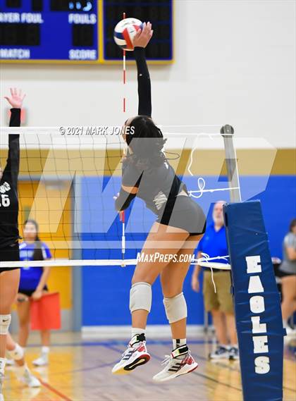 Thumbnail 3 in O'Connor vs. Hamilton photogallery.