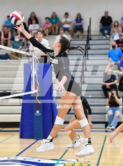 Thumbnail 2 in O'Connor vs. Hamilton photogallery.