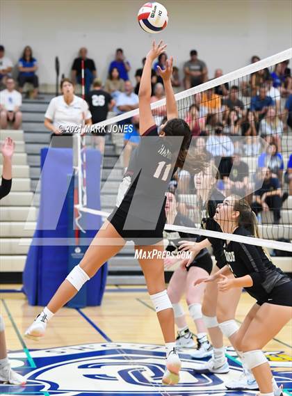 Thumbnail 1 in O'Connor vs. Hamilton photogallery.