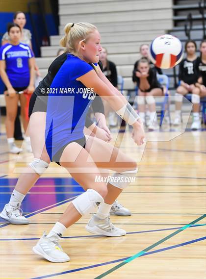 Thumbnail 2 in O'Connor vs. Hamilton photogallery.
