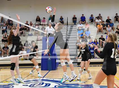Thumbnail 3 in O'Connor vs. Hamilton photogallery.