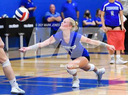 Thumbnail 3 in O'Connor vs. Hamilton photogallery.